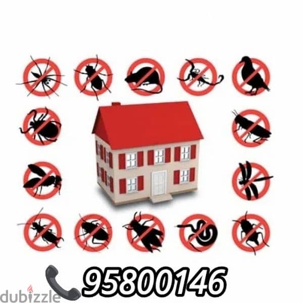 Best Pest Control and Cleaning services, Flat Villa Backyard cleaning 0