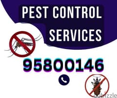 Best Pest Control and Cleaning services, Bedbugs Insect Cockroaches