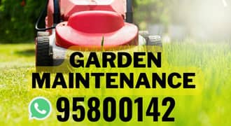 Plants Cutting, Artificial grass, Tree Trimming, Lawn Care Maintenance 0