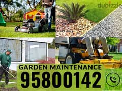 Garden maintenance/Cleaning services,Plants Cutting, Artificial grass,