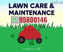 Lawn Care & Maintenance Services,Plants Cutting, Tree Trimming, Soil, 0