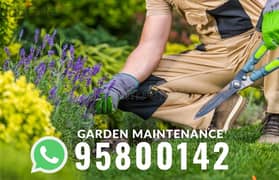 Garden maintenance, Plants Cutting, Artificial grass, Watering,