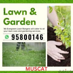 Lawn Care Services, Plants Cutting, Artificial grass,Tree cutting