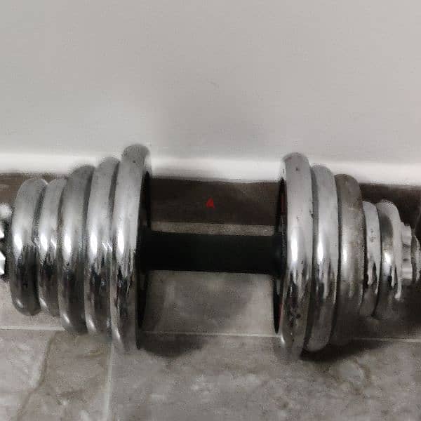 dumbbells and bench 1