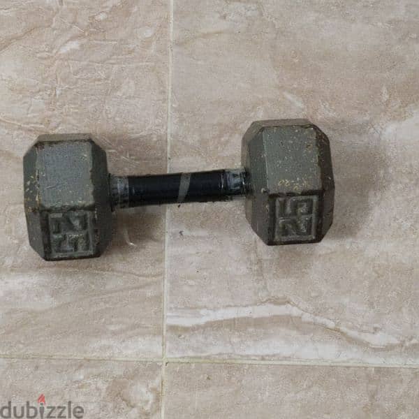 dumbbells and bench 2