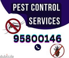 Pest Control and House Cleaning services,Best Quality Medicine