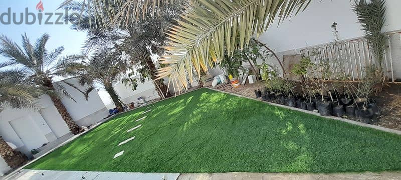 Grass carpet 0