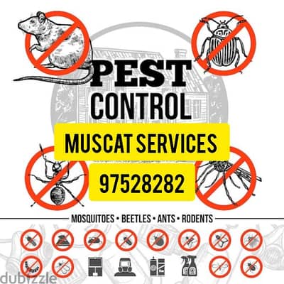 General Pest Control service for Insects Bedbugs Aunts Spider Rats