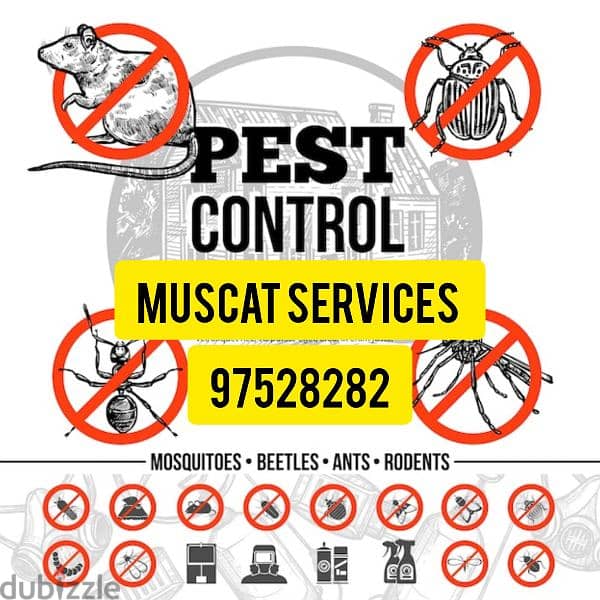 General Pest Control service for Insects Bedbugs Aunts Spider Rats 0