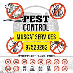 Pest Control Treatment Service for insects Bedbugs Aunts