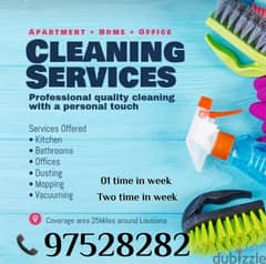 Home and Apartment Cleaning Rubbish Disposaling Service 0