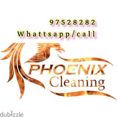 Home and Apartment Cleaning Rubbish Disposaling Service