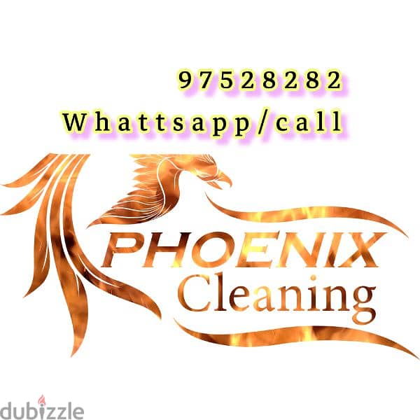 Home and Apartment Cleaning Rubbish Disposaling Service 0