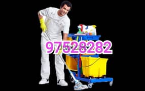 House Office Flat Garden Cleaning Maintenance Services 0