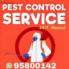 Top Pest Control services, Bedbugs, Insect, Cockroaches, Lizard Ants,