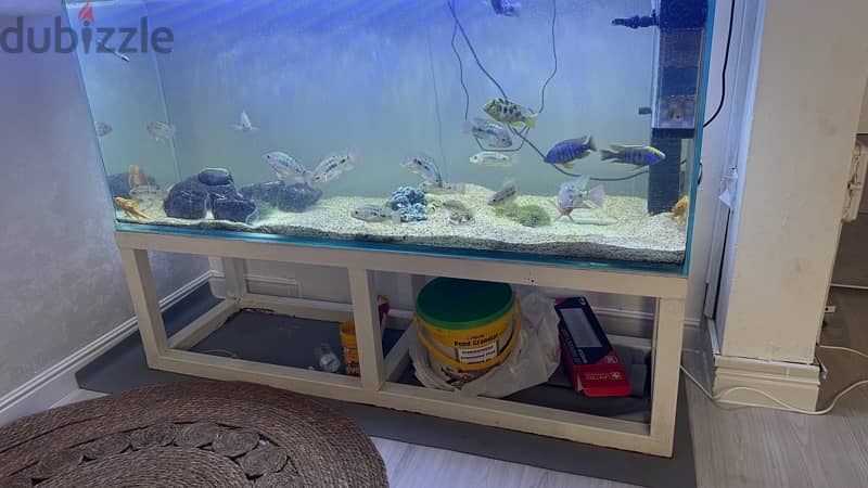 151x45cm fish tank 3