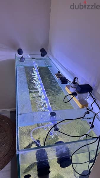 151x45cm fish tank 4