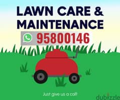 Lawn Care Maintenance Services, Plants Cutting, Tree Trimming, Soil,