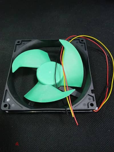 fan  motor