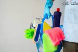best house cleaning services 0