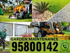 Garden Maintenance Cleaning services, Plants Cutting, Artificial grass