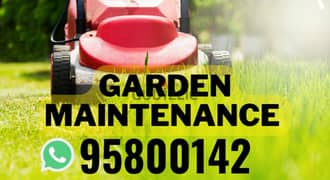 Garden Maintenance/Cleaning services, Plants Cutting, Tree Trimming,