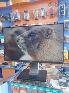 DELL 24 INCH FRAMELESS MONITOR-HDMI-VGA-DISPLAY PORT AVAILABLE