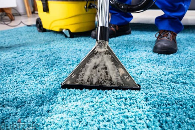 carpet cleaning services 0