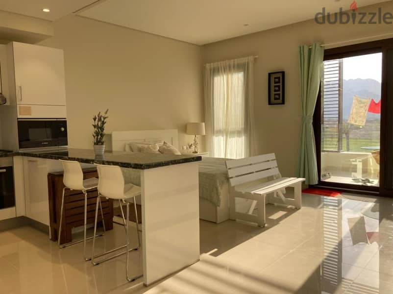 1 BR Amazing Furnished Studio Apartment in Jebel Sifa for Sale 2