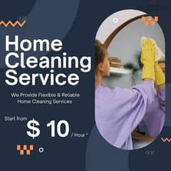 house/office/villa/apartment/garden/deep cleaning services