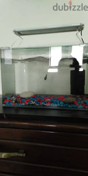 Fish aquarium with filter, light and net 0