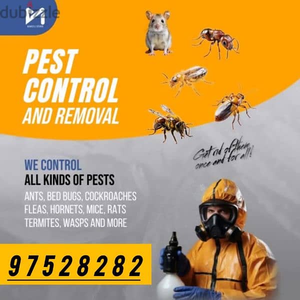 General Pest Treatment service for insects Aunts Spider lizard 0