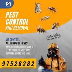 General Pest Control service and Cleaning Service
