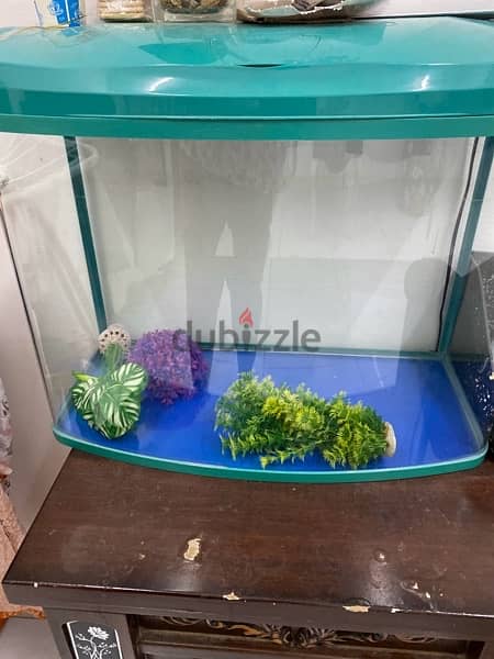 URGENT **Fish Tank with table and plants , pebbles and net 1
