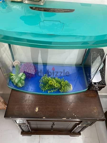 URGENT **Fish Tank with table and plants , pebbles and net 3