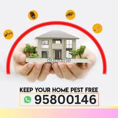 Pest Control and House Cleaning services, Bedbugs treatment available,