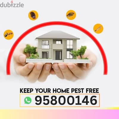 Pest Control services all Muscat, Insect Bedbugs treatment available