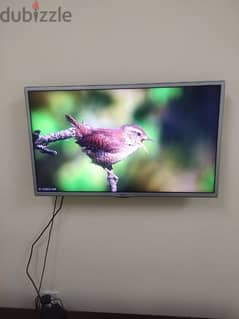 32 inch LG Smart TV