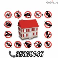 Top Pest Control services, Bedbugs treatment available, Insect killer