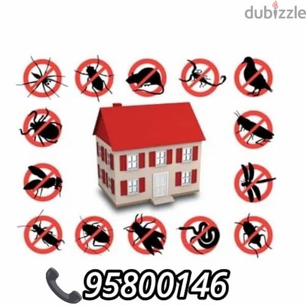 Top Pest Control services, Bedbugs treatment available, Insect killer 0