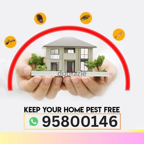 Pest Control services, Bedbugs treatment available by spraying 0