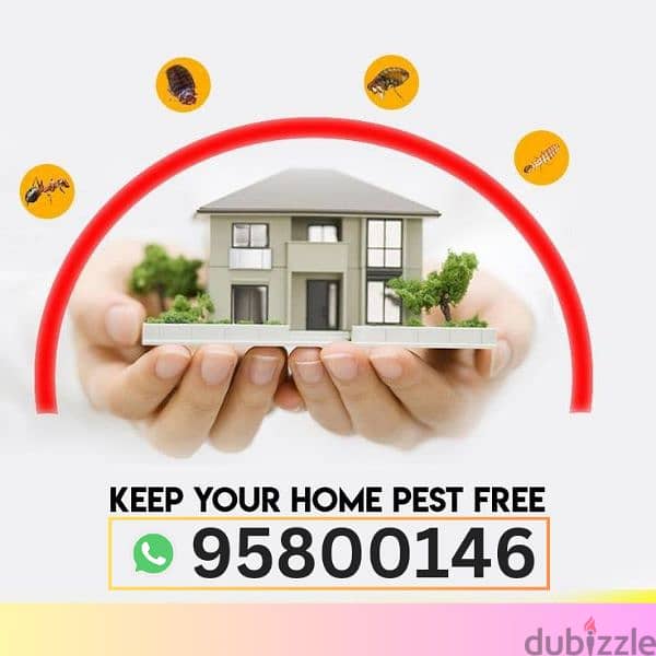 Best Pest Control And Cleaning services, Bedbugs Insect Cockroaches 0