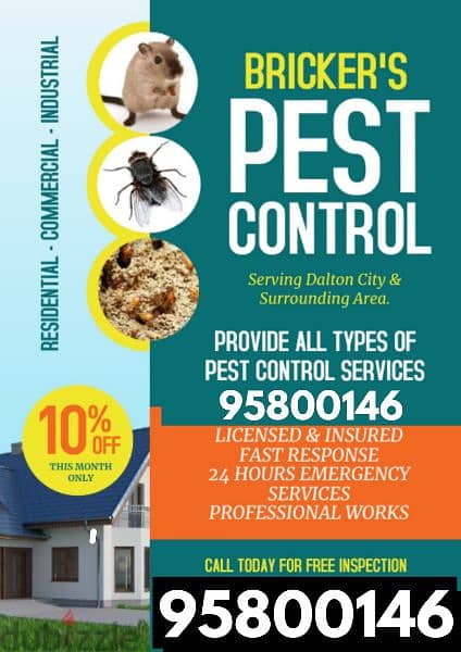 Pest Control and Cleaning services, Insect Bedbugs solutions available 0
