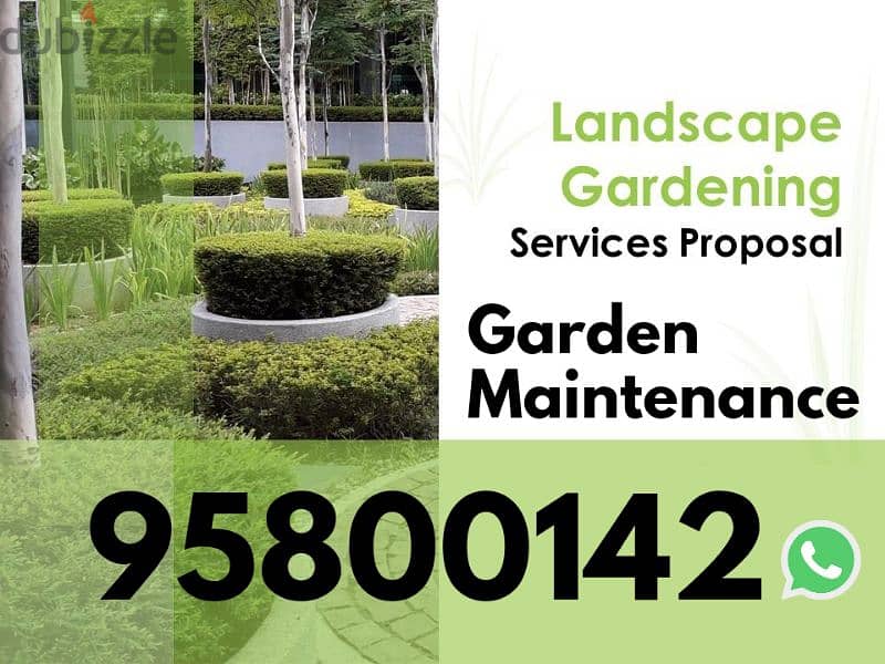 Lawn Care Maintenance Services, Plants Cutting, Shaping, Fertilizer, 0