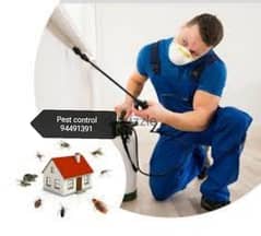 we provide you the best pest pesticides services