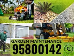 Backyard Cleaning & Maintenance, Plants Cutting, Artificial grass,