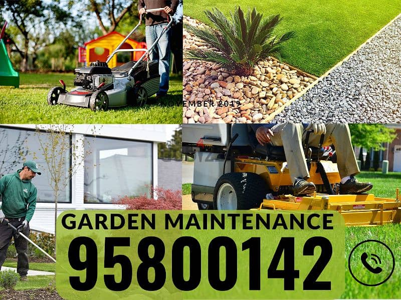 Backyard Cleaning & Maintenance, Plants Cutting, Artificial grass, 0