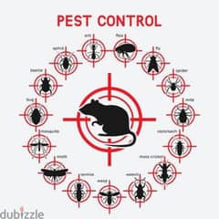 Pest