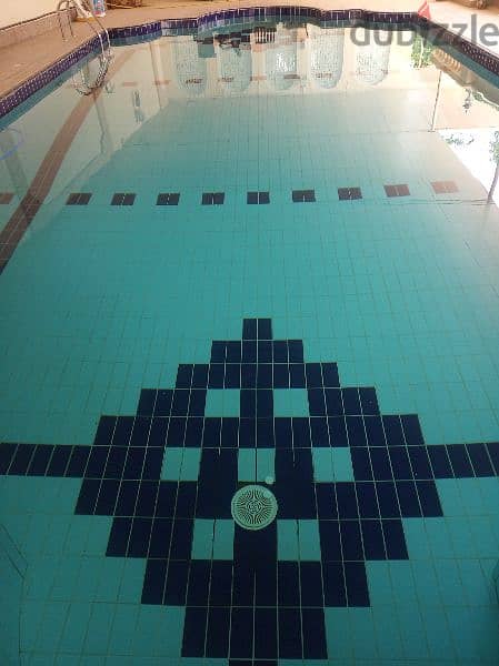 swimming pool maintenance 7