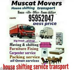 professional movers and packers house shifting office shifting Villa